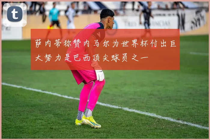 萨内蒂称赞内马尔为世界杯付出巨大努力是巴西顶尖球员之一