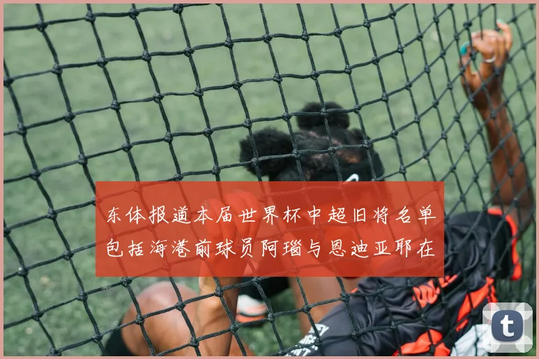 东体报道本届世界杯中超旧将名单包括海港前球员阿瑙与恩迪亚耶在内的10位球员