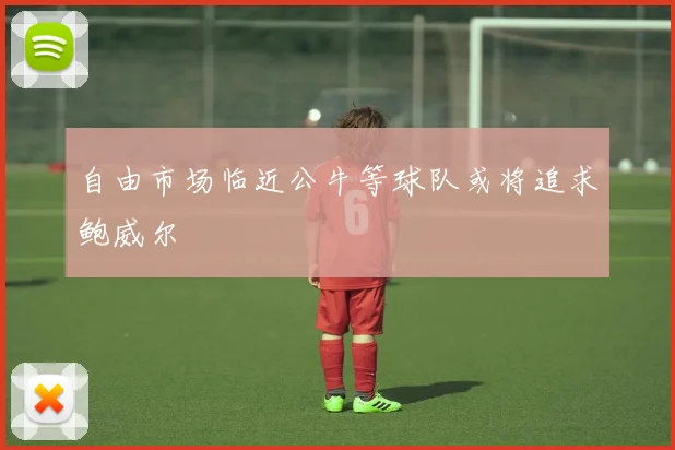 自由市场临近公牛等球队或将追求鲍威尔